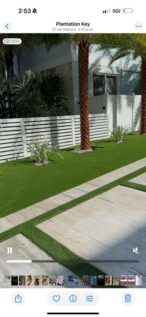 Pool surround turf Coral Gables